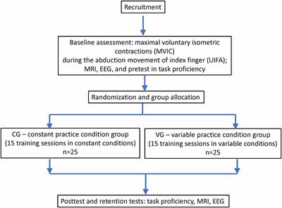 Neuroplasticity in Motor Learning Under Variable and Constant Practice Conditions—Protocol of Randomized Controlled Trial